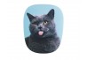 PAD MOUSE NEOBASIC FUNNY CAT RELIZA