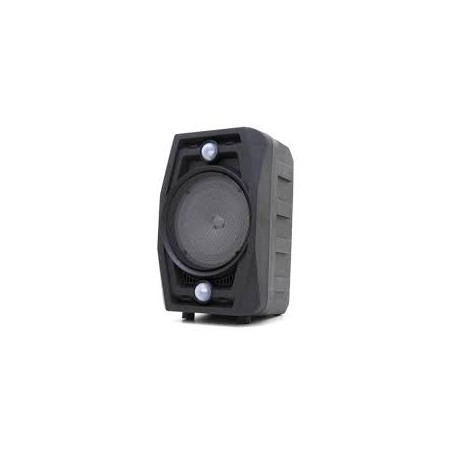 RÁDIO PORTÁTIL GRASEP 15W BLUETOOTH MOD D-BH6103