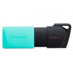 PEN DRIVE 256GB USB 3.2 KINGSTON DTXM