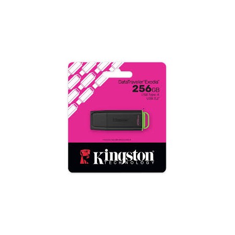 PEN DRIVE 256GB USB 3.2 KINGSTON DTXG2