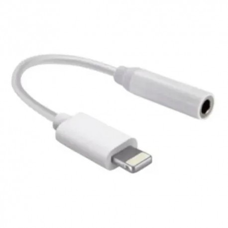 CONVERSOR LIGHTNING MACHO / P/2 FEMEA